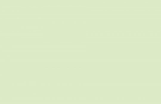 Qui officia deserunt mollit anim id est