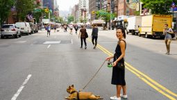 The Complete Guide to Traveling With Your Pet
