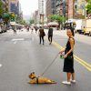 The Complete Guide to Traveling With Your Pet