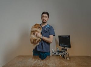 Vitality of Pet Vaccinations