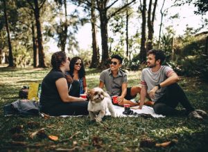 6 Tips for First-Time Pet Owners