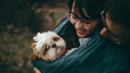 Healthcare Checklist for New Pet Owners