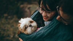 Ensure Your Cat’s Safety During the Winter Season by Following This Guide Ensure Your Cat’s Safety During the Winter Season by Following This Guide