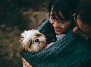 Ensure Your Cat’s Safety During the Winter Season by Following This Guide