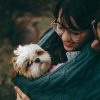 Ensure Your Cat’s Safety During the Winter Season by Following This Guide
