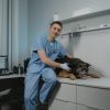 After Surgery: A Pet Owner’s Guide to Care