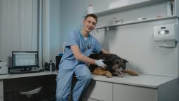 After Surgery: A Pet Owner’s Guide to Care