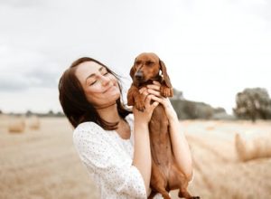 What Advantages of Pet Boarding Have Been Proven?