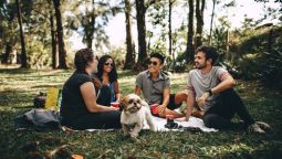 Tips for Busy Pet Parents: Making Time for Your Dogs or Cats