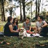 Tips for Busy Pet Parents: Making Time for Your Dogs or Cats