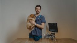 Who Are Suitable Candidates for Pet Wellness Exams?