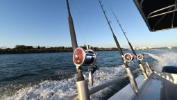 Why Are Fishing Charters a Good Family Activity?