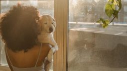 Why Do Pets Need Regular Check-ups at an Animal Hospital?