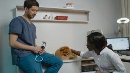 What to Do if Your Pet Gets Anxious When Visiting the Vet