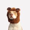 What Are the Signs Your Dog Needs Professional Training?