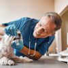 How Can Dental Diseases Affect Your Pet’s Overall Health?