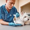 What Common Emergencies Require Immediate Vet Care for Pets?