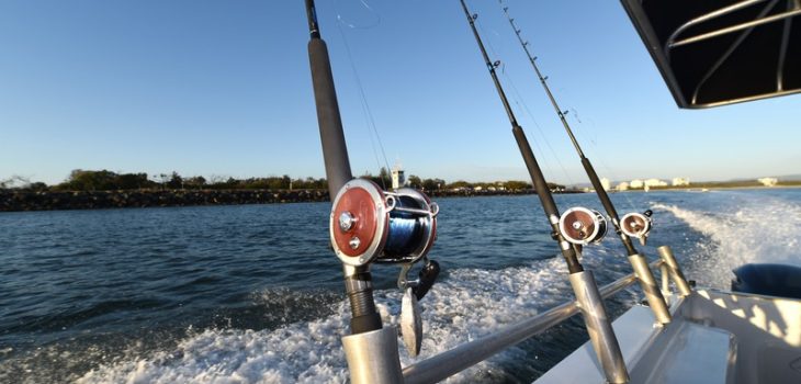 Why Are Fishing Charters a Good Family Activity?