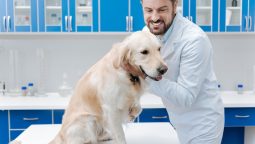 How Do Vaccines Protect Pets From Diseases?