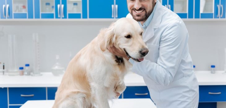 How Do Vaccines Protect Pets From Diseases?