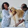 What Happens During a Pet’s Annual Exam?