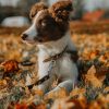 How do Vet Services Help in the Early Detection of Pet Diseases?