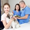 How Does Pet Boarding Facilitate Early Illness Detection?