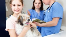 How Does Pet Boarding Facilitate Early Illness Detection?