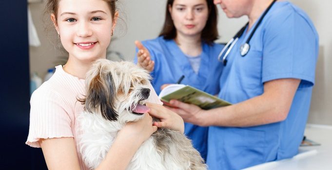 How Does Pet Boarding Facilitate Early Illness Detection?