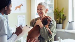 What Are Common Health Issues in Older Pets?