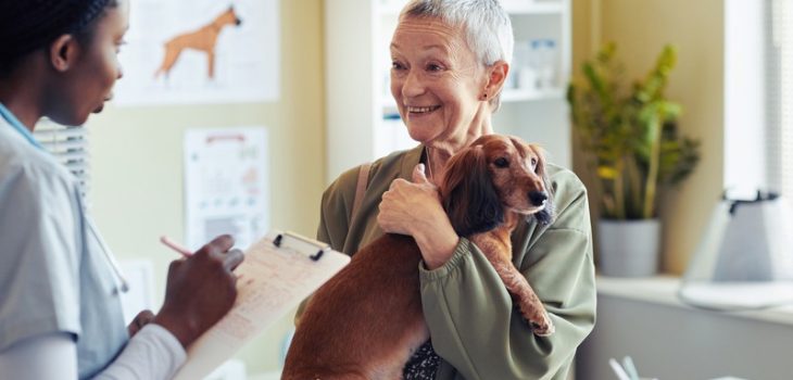 What Are Common Health Issues in Older Pets?