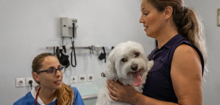 When Should You Rush Your Pet to an Emergency Vet?