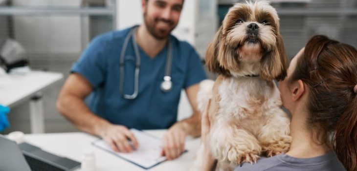 How to Choose the Right Wellness Plan for Your Pet?