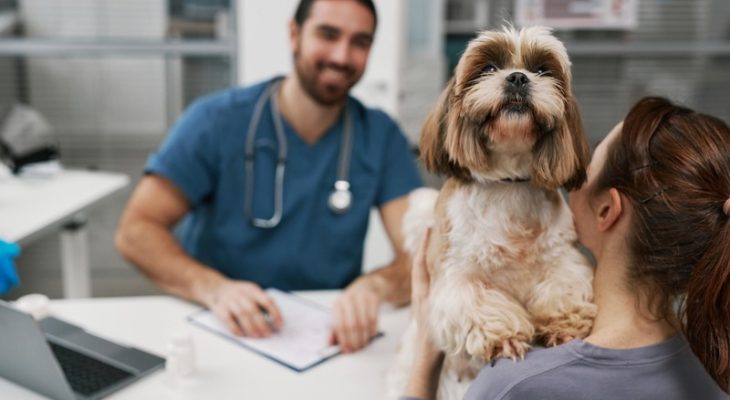 How to Choose the Right Wellness Plan for Your Pet?