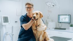 What Are the Core Veterinary Services of a Reputable Clinic?