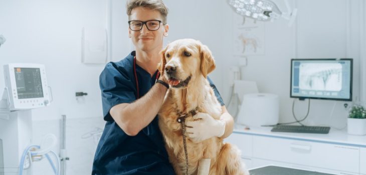 What Are the Core Veterinary Services of a Reputable Clinic?