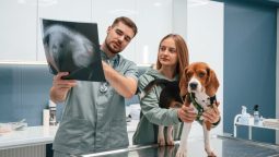 How Do Specialists Improve Your Pet’s Emergency Treatment?