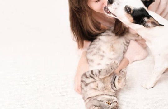 What Are Tips for Managing Pet Care Costs? What Are Tips for Managing Pet Care Costs?