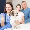 How Does Cold Laser Therapy Speed Up Healing in Pets?