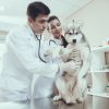 How Can Early Emergency Care Save Your Pet’s Life?