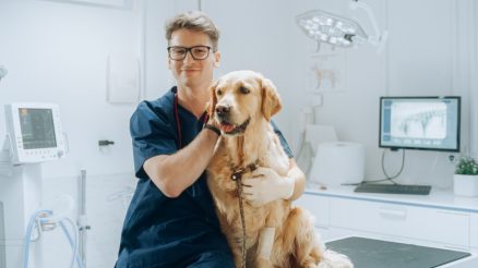 What Are the Core Veterinary Services of a Reputable Clinic?