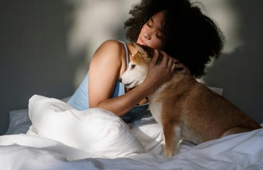 How to Find a Trustworthy Pet Vet