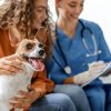 How Do Lab Results Influence Pet Dental Treatment?
