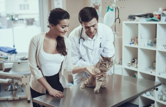 Why Are Vaccinations Important in Pet Exams?