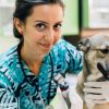 What Vaccinations Are Essential for My Senior Pet During Routine Exams?