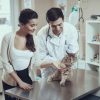 Why Are Vaccinations Important in Pet Exams?