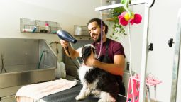 How Do I Choose a Safe Pet Grooming Salon?
