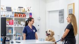 Why Do Pets Get Infections, and How Can They Be Prevented?