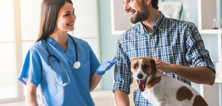 What Are the Essential Services Offered by Vets to Keep Pets Healthy?