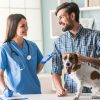 What Are the Essential Services Offered by Vets to Keep Pets Healthy?